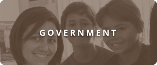 Government