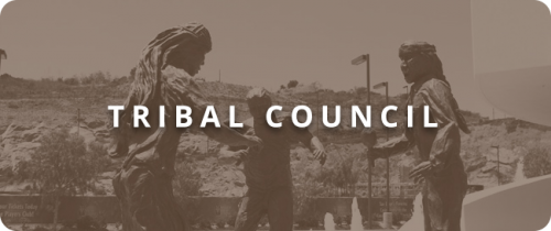 Tribal Council