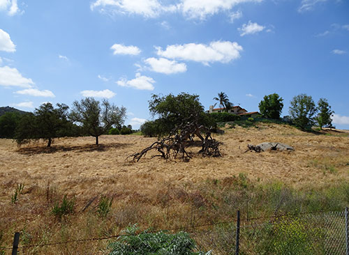 Land Assignment Committee