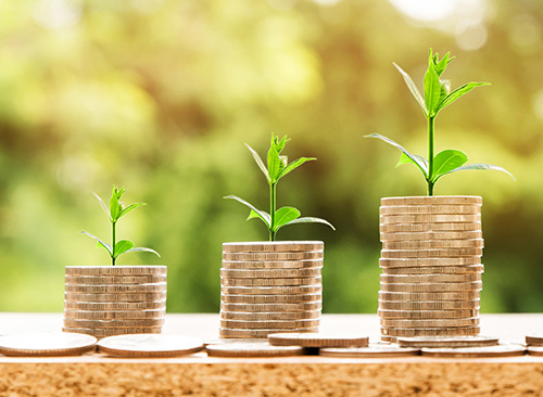 Economic Development Agency